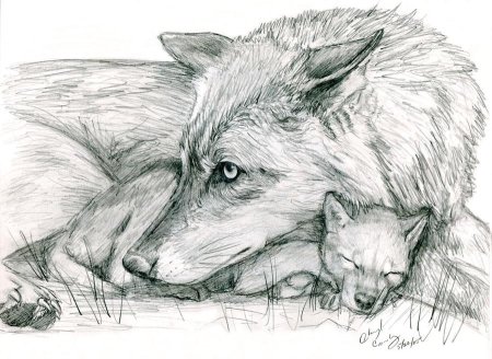 Рисунки карандашом животные