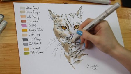 Кот рисунок маркерами