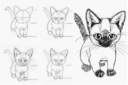 Простые рисунки котиков для срисовки