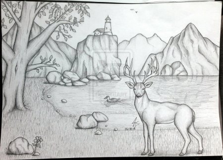 Белка рисунок
