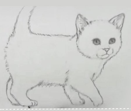Котенок карандашом легкий