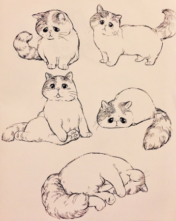 Скетчи котов