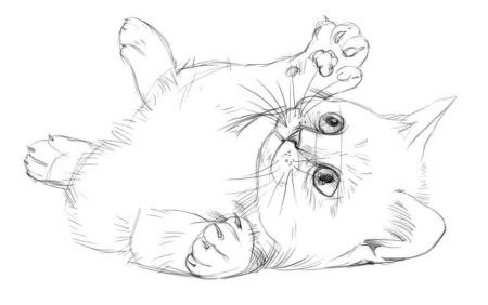 Красивые рисунки котят карандашом