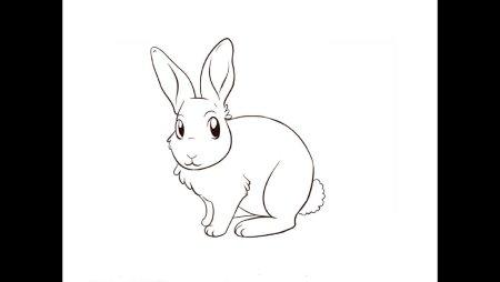Заяц Беляк рисунок карандашом