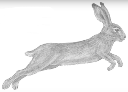 Рисунки для срисовки лёгкие зайчики