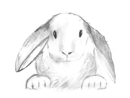 Рисунок на свободную тему легкий