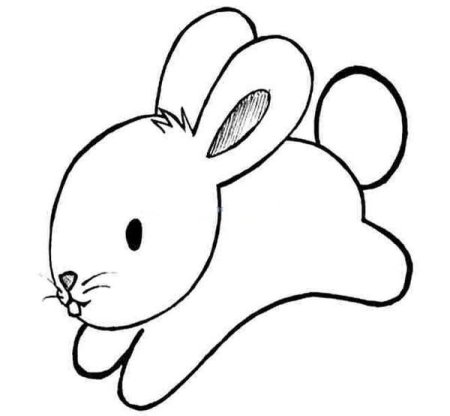 Референс кролика сбоку