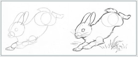 Рисунок зайца для срисовки