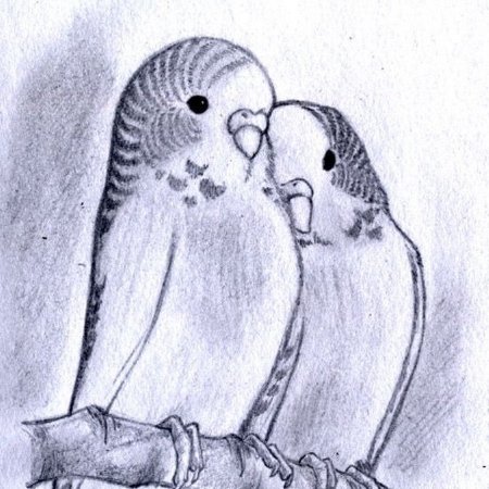 Рисунки карандашом любовь животных