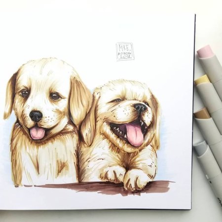 Сова скетч маркерами