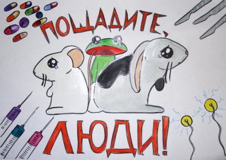 Плакат берегите животных