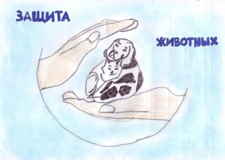 Плакат по защите природы