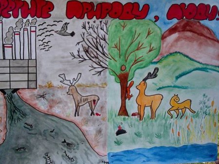 Защита животных