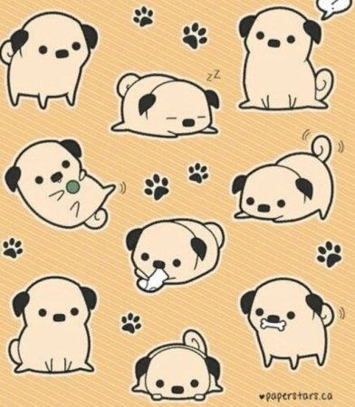 Пандочка для срисовки