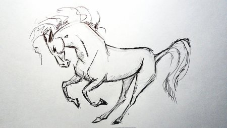 Нарисовать лошадь