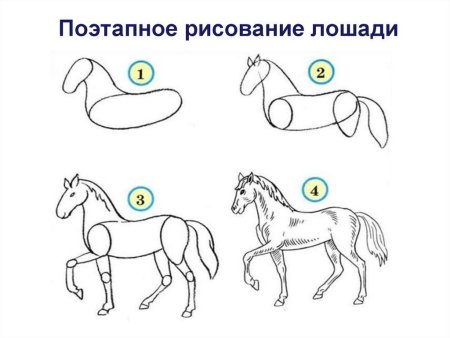 Рисунок лошади карандашом для срисовки