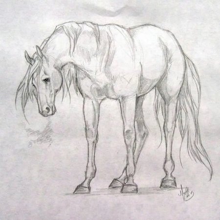 Лошадь рисунок карандашом