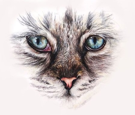 Кошачий глаз