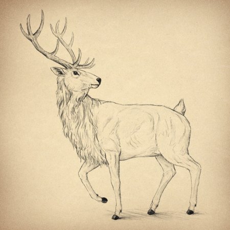 Рисунок оленя для срисовки