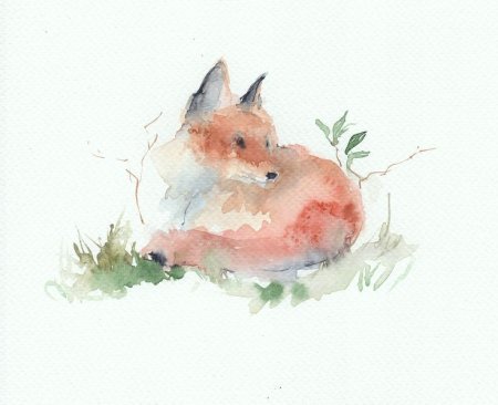 Животные акварелью