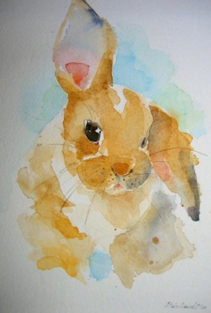 Животные акварелью для начинающих