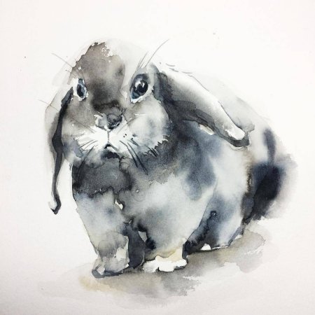 Кролик акварель