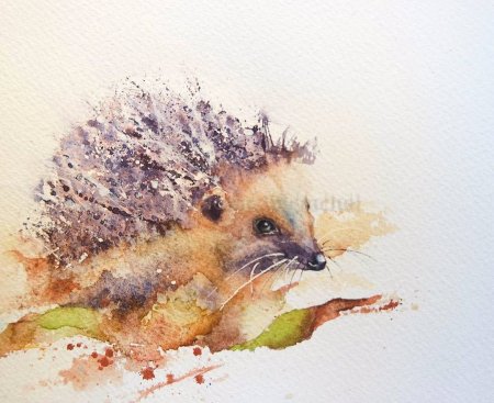 Акварельные ежики