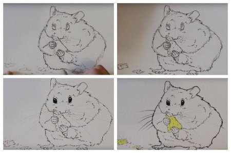 Рисунки животных легкие для срисовки