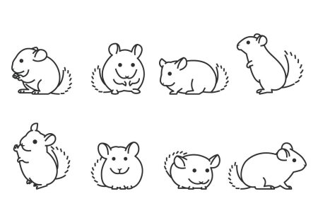 Шиншилла раскраска для детей