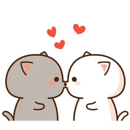 Лапа собаки