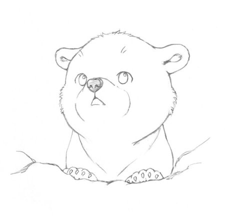 Медведь рисунок карандашом