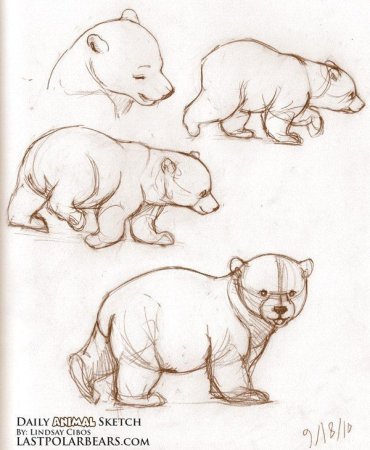 Медведь рисунок