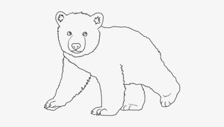Медведь рисунок карандашом