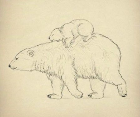 Медведь рисунок карандашом поэтапно