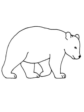Медведь цветными карандашами