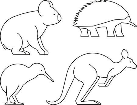 Поэтапное рисование животных Австралии