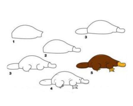 Поэтапное рисование кенгуру
