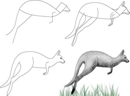 Рисуем кенгуру с детьми 5 лет