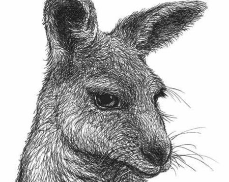 Контуры животных Австралии