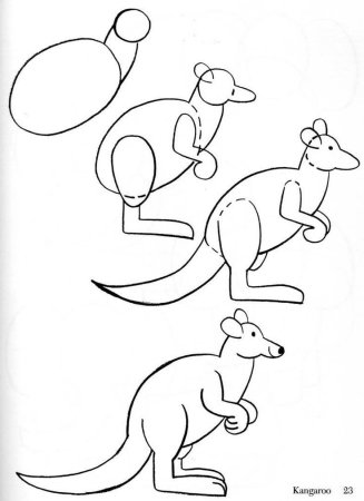 Коала рисовать