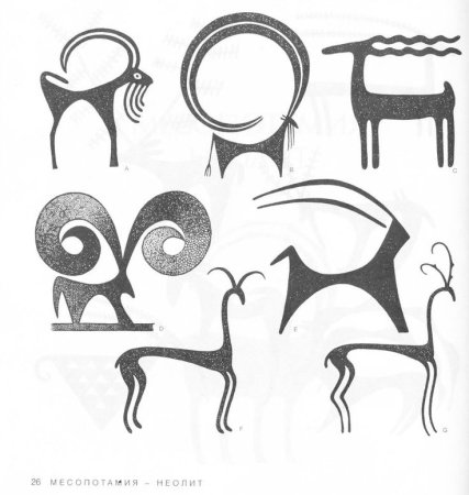 Грэхем Лесли Маккэлэм 4000 мотивов животные птицы и рыбы