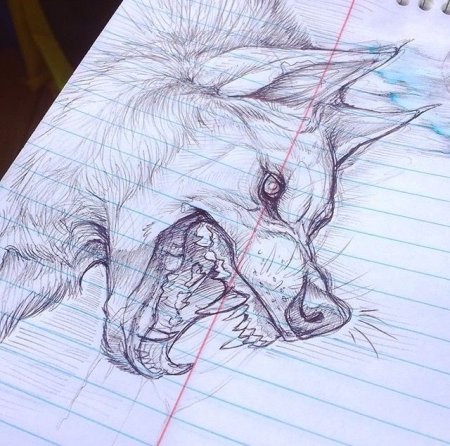 Дино Томик рисунки