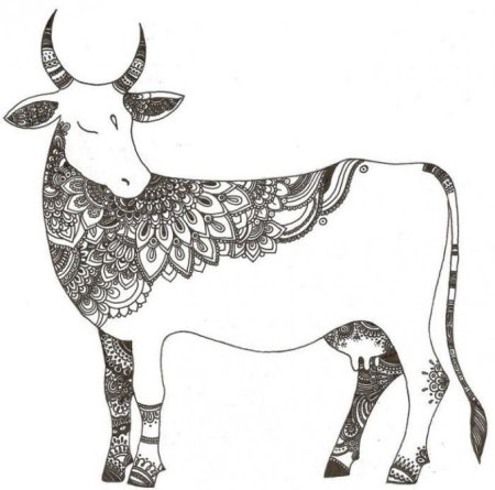 Орнамент коровы