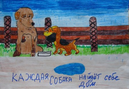 Раскраска бездомные животные