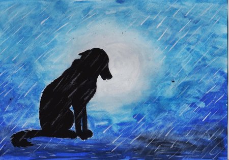 Мы в ответе за тех кого приручили