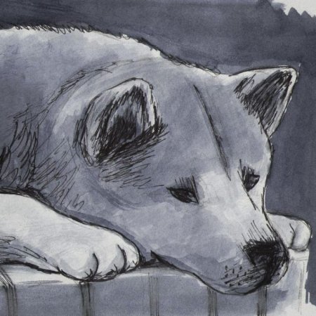 Рисунок на тему бездомные животные