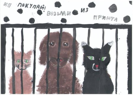 Кошки и собаки. Раскраска