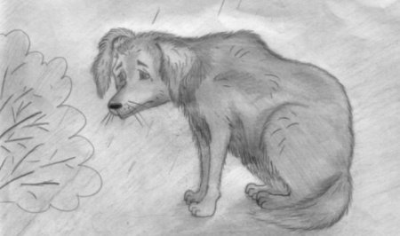 Плакат бездомные животные