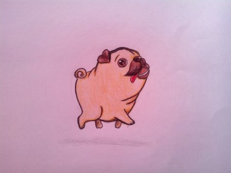 Милые животные карандашом