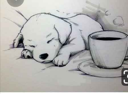 Картинки панды для срисовки